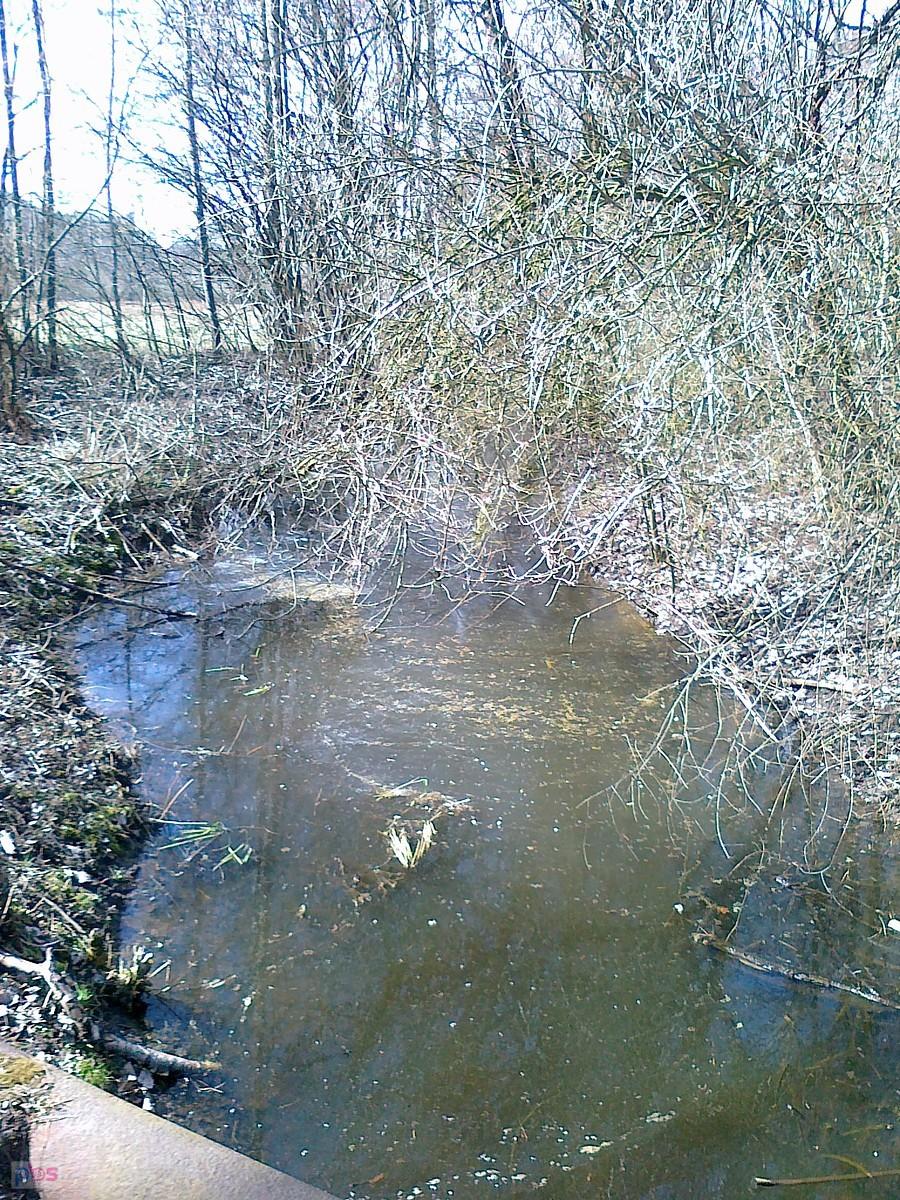 Kiedyś żółta, dziś szara rzeczka