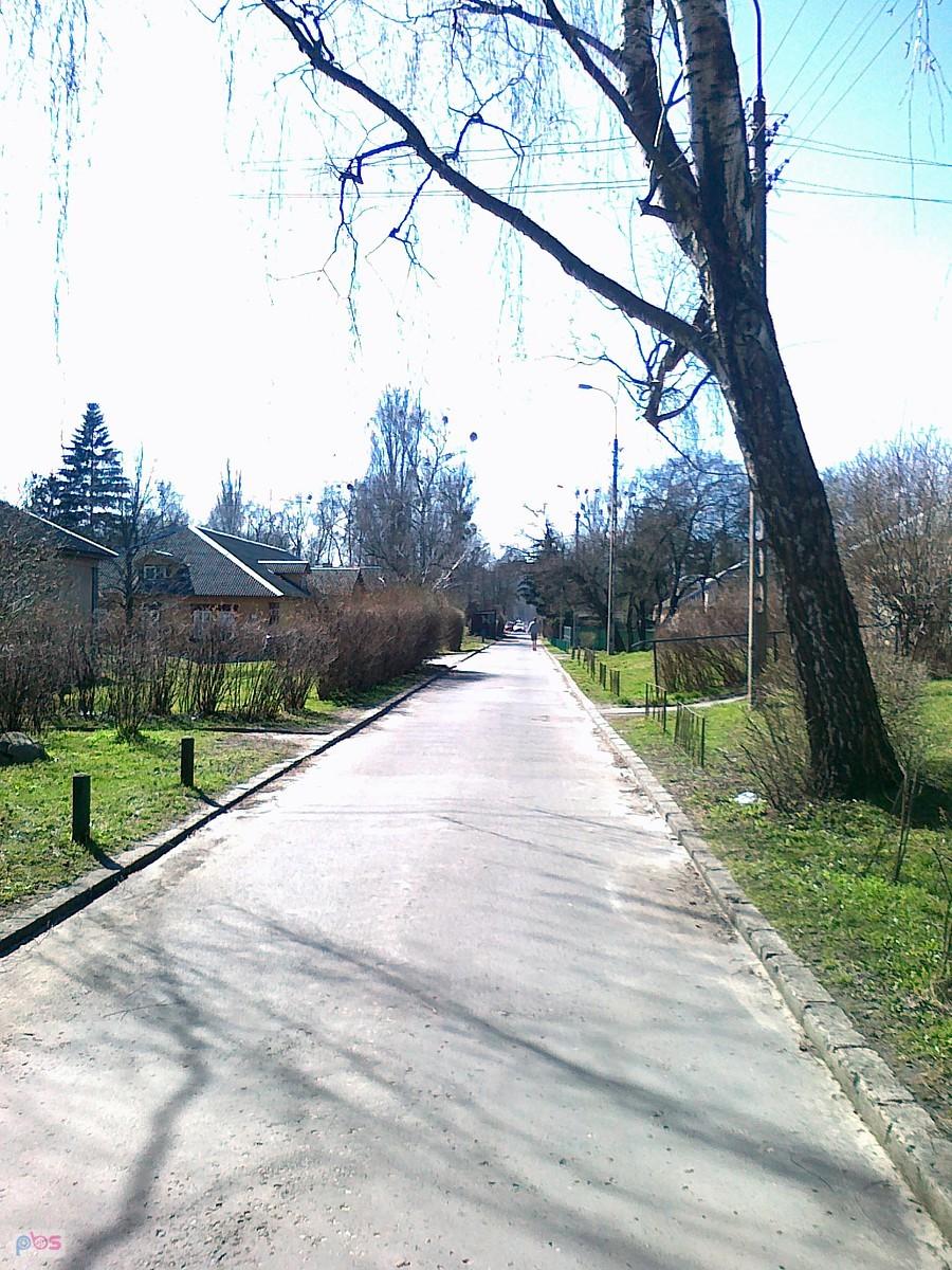 Słoneczny dzień