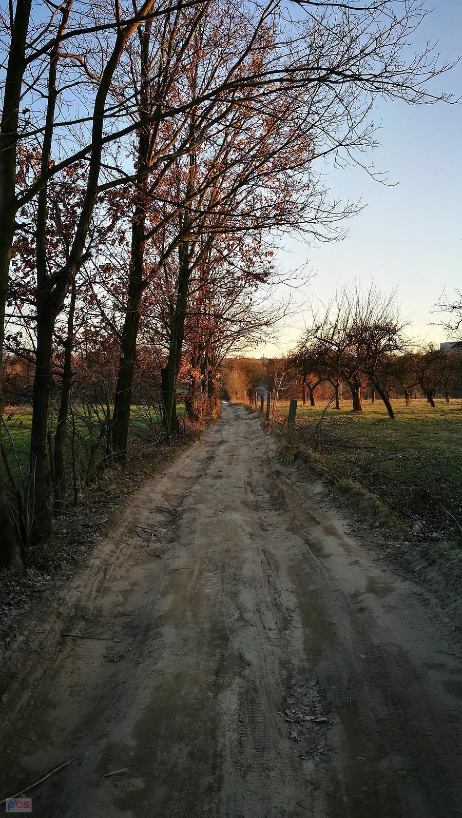 Ulica Traktorowa w rejonie Liściastej