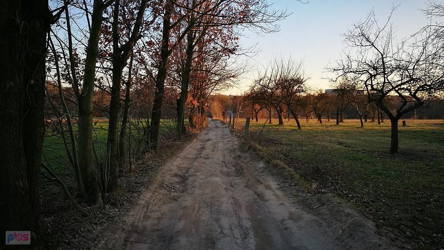 Ulica Traktorowa w rejonie Liściastej