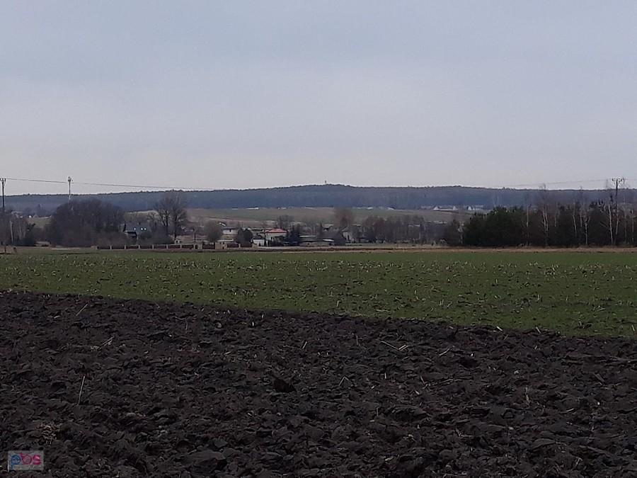 widok z pod Wierzbicy