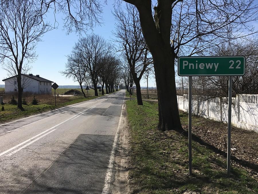 Prawie w Pniewach...