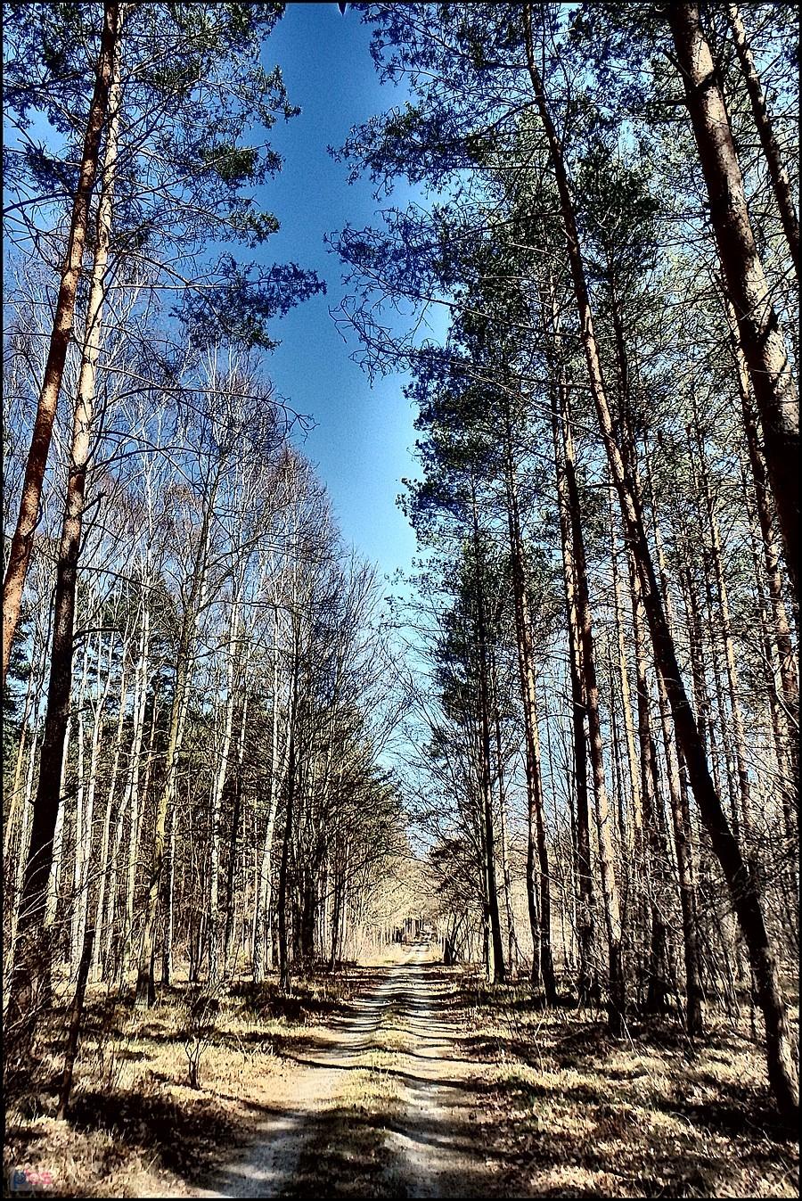 Pomału robi się zielono...!