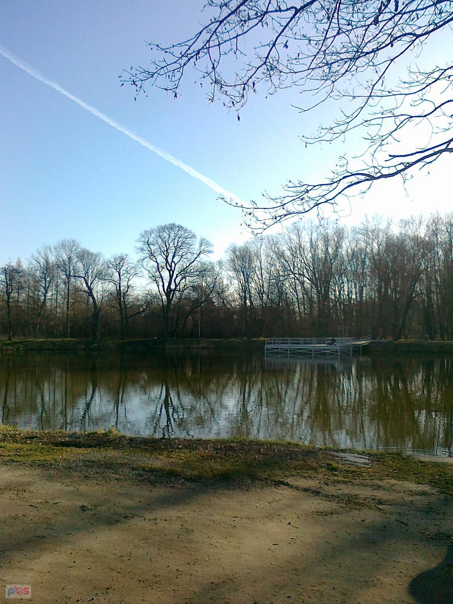 Staw w Ożarowie