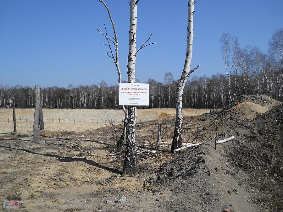 jakiś wykopki