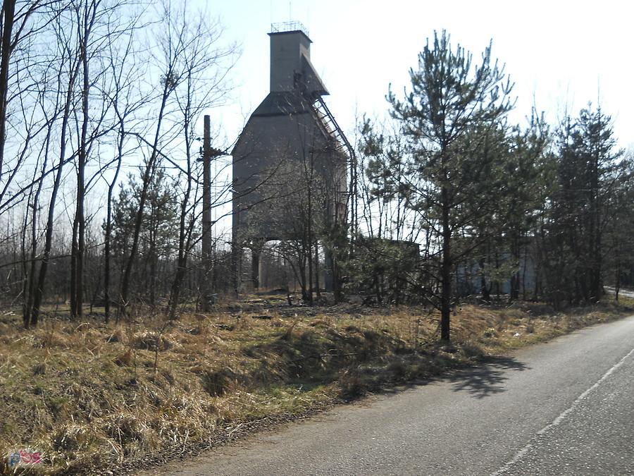 budynek