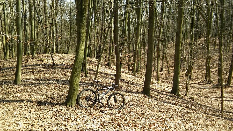 Puszczykowskie Góry. Jak tu nie kochać MTB ? :)