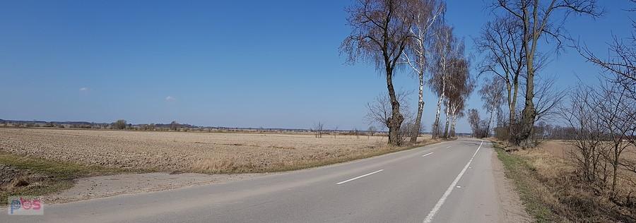 Wiosna to już pewne.