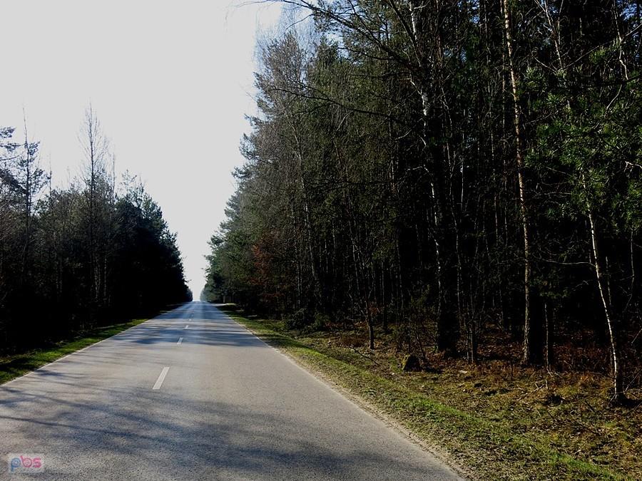 Przez lasy.