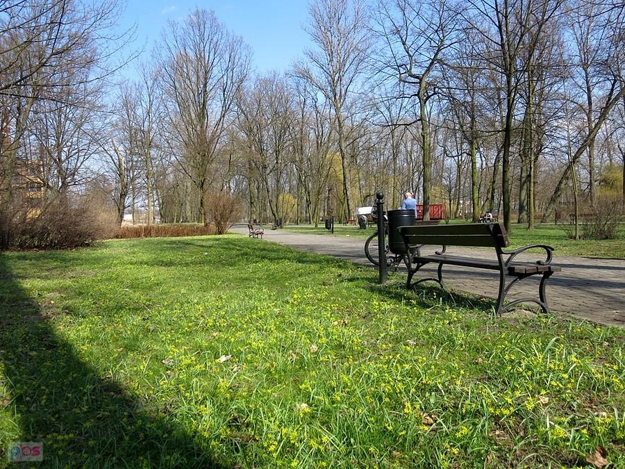 Park wiosenką pachnie.