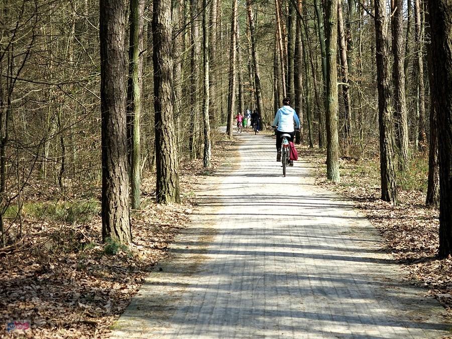 DDR do Spały oblężona przez rowerzystów. Trzeba było uważać i maksymalnie zwolnić.