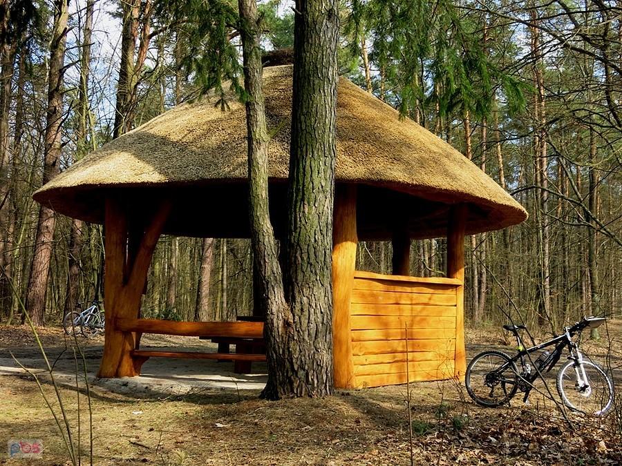 Pod grzybkiem.