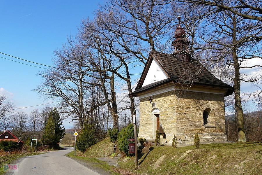 Kocoń