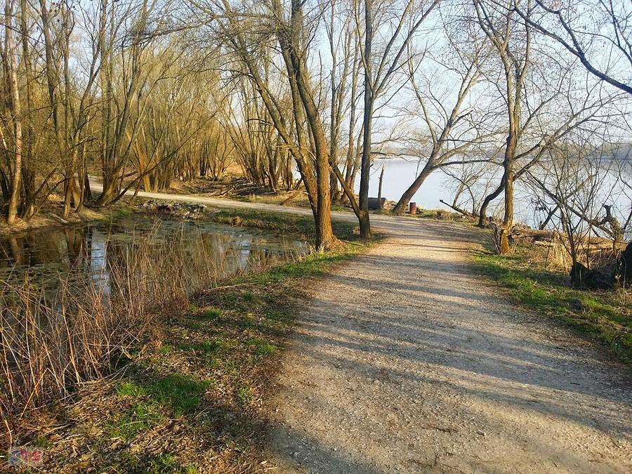 ścieżka nad Wisłą