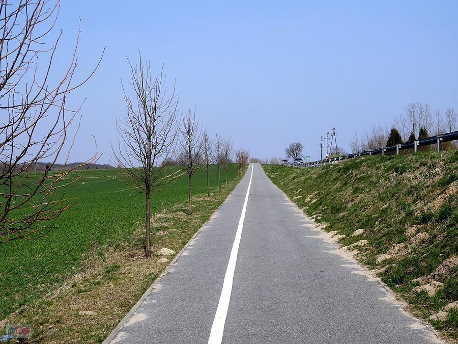 Nasza ulubiona ścieżka rowerowa czyli Szwarcówka - tu w drodze do Przecławia.