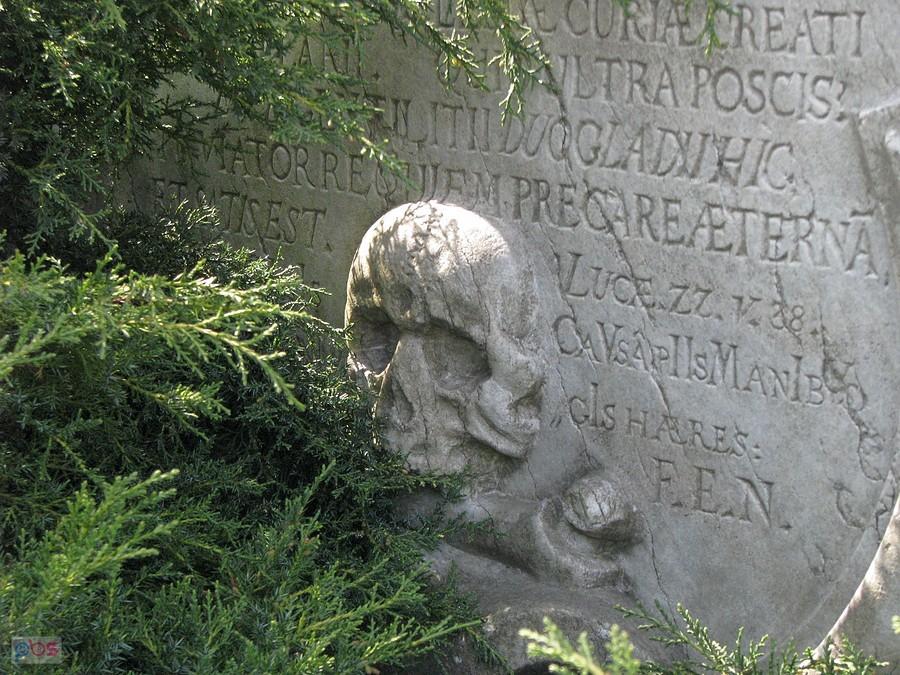 W Poniszowicach