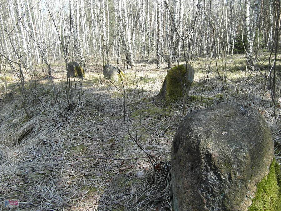 Kamienne kregi