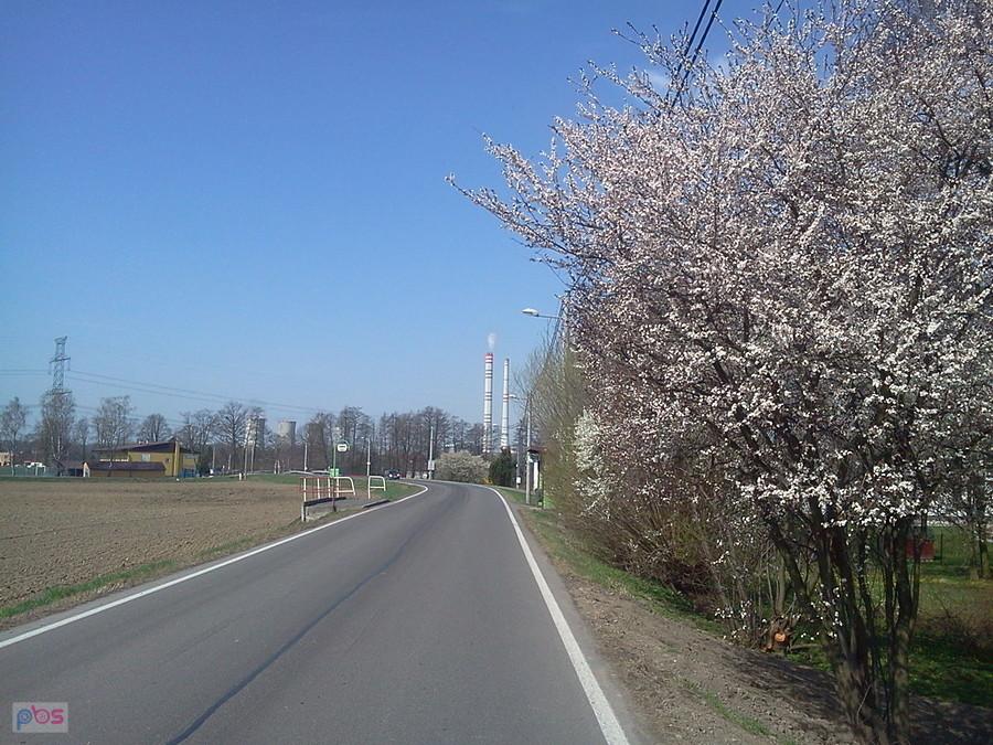 Petrovice