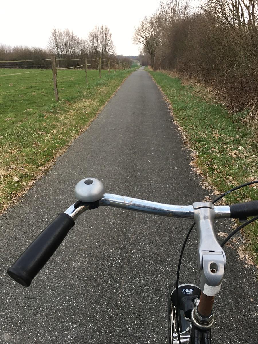 Na ścieżce rowerowej