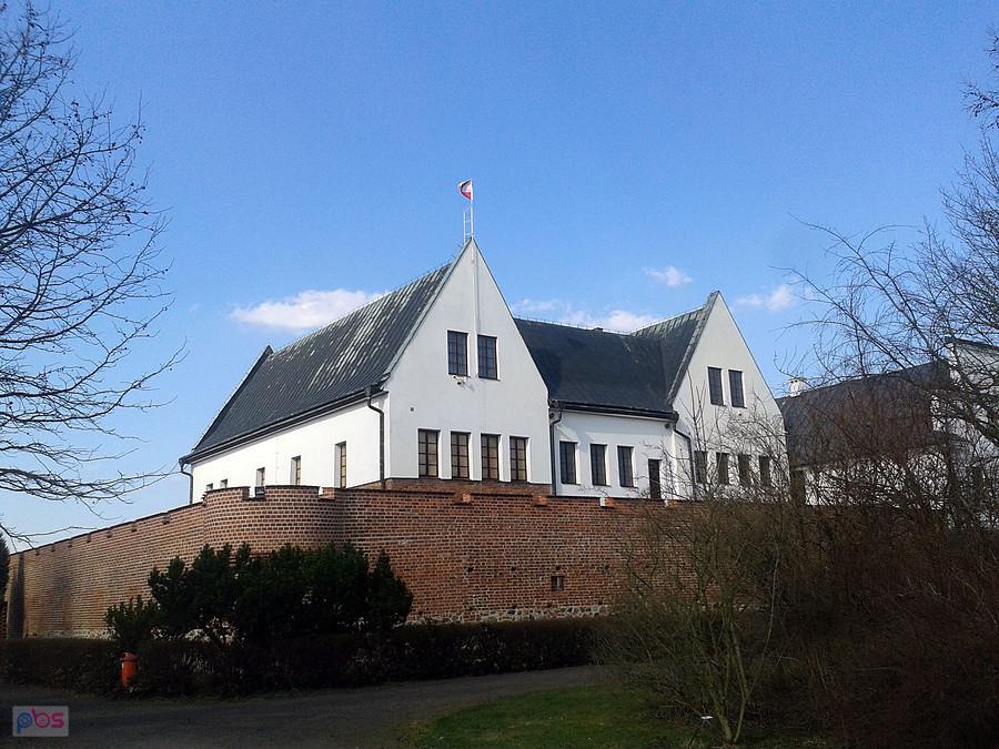 Zamek w Gosławicach