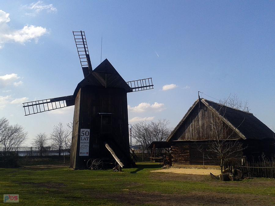Skansen przy zamku, Gosławice