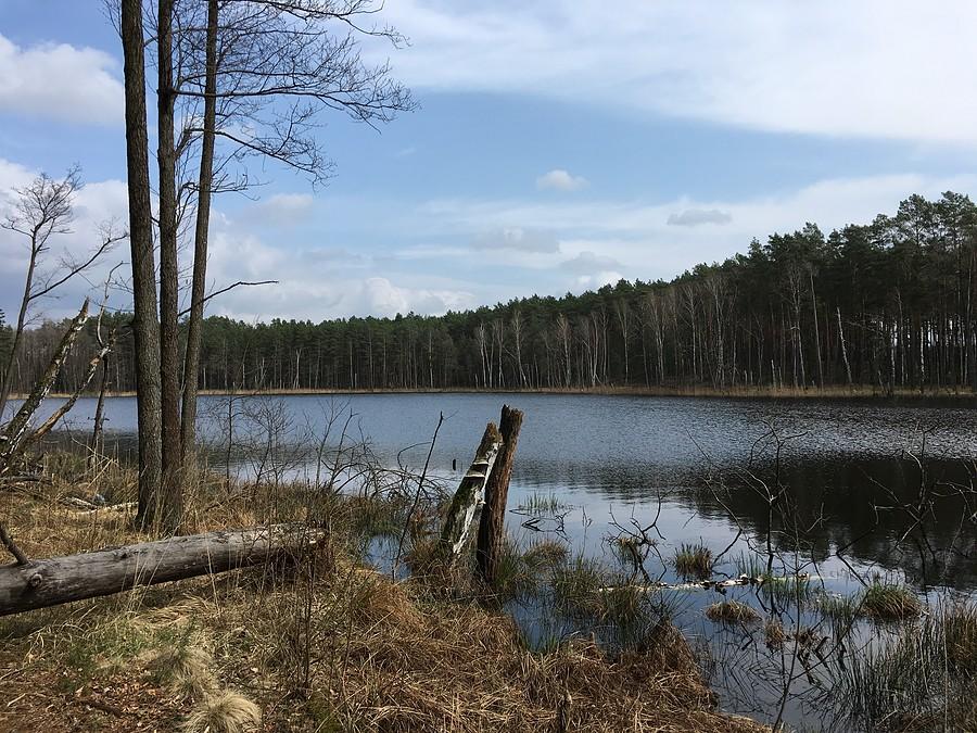 Jezioro Kolędy w Puszczy Drawskiej