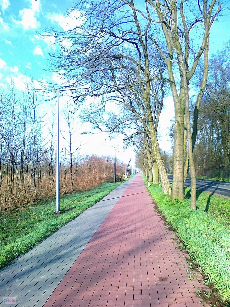 Piękny słoneczny i ciepły poranek