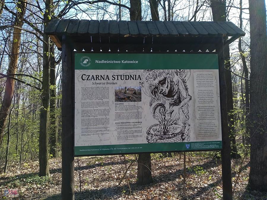Czarna studnia