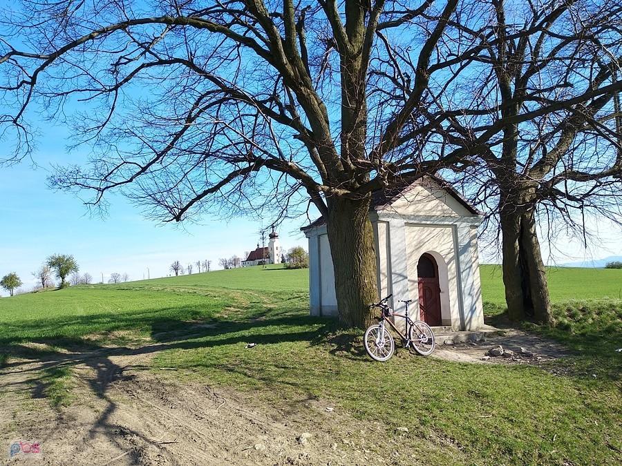 Kapliczka w pobliżu Klimontu