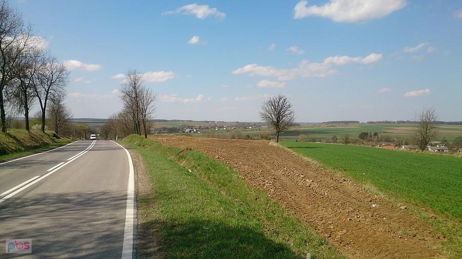 Widok na Tarnawkę
