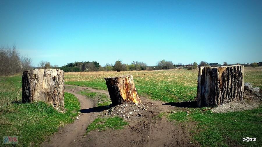 sądząc po śladach samochody już znalazły objazd
