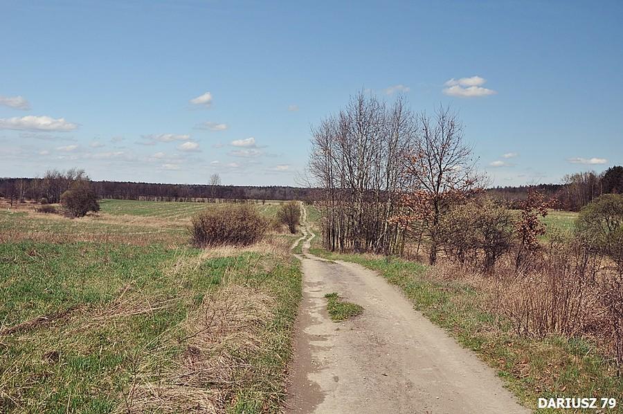 Tucznawa - Droga polna