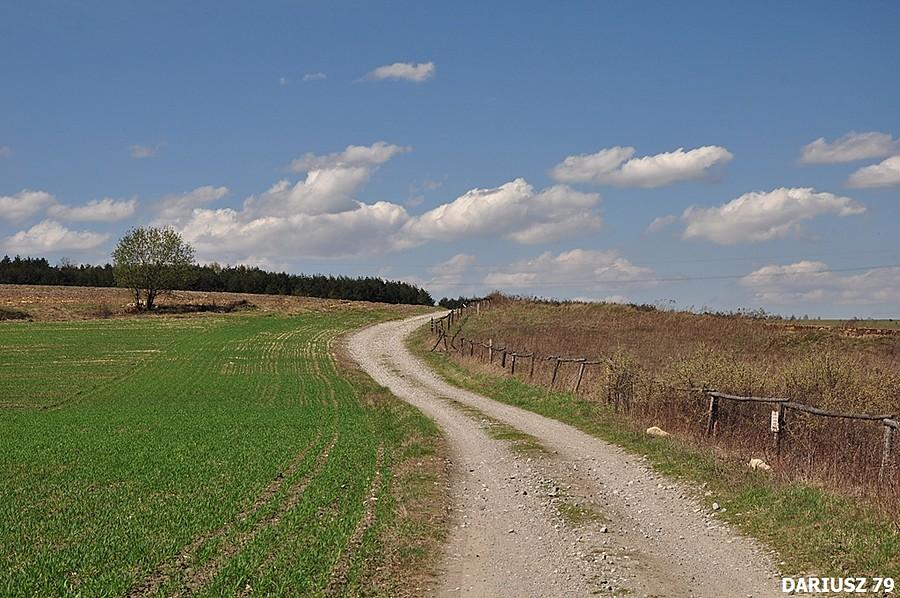 Bugaj - W stronę Lasów Trzebiesławickich