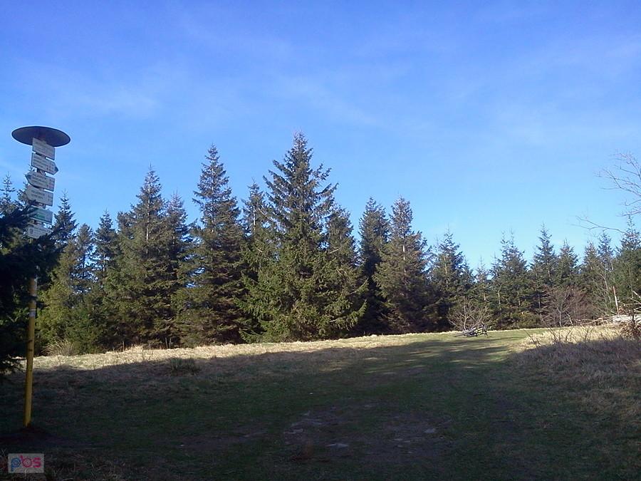 Jaworowy 1032 m.
