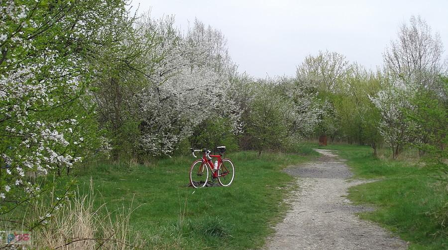 Hlučín. Chwila odpoczynku i podjazd do Děhylova