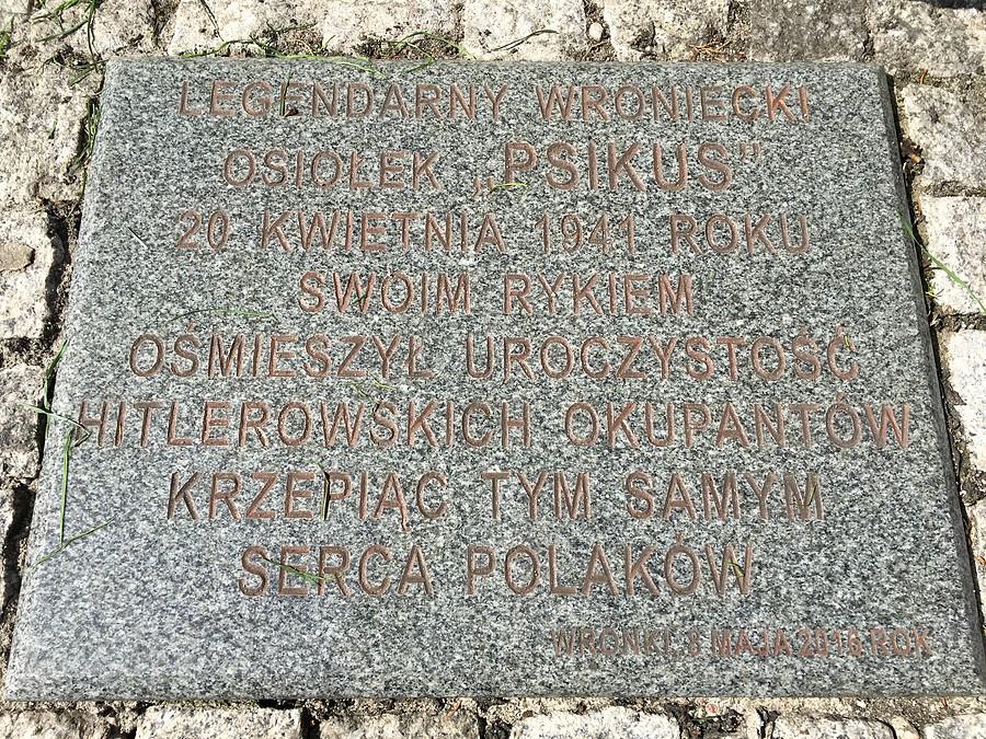 Historia osiołka PSIKUSA na rynku we Wronkach