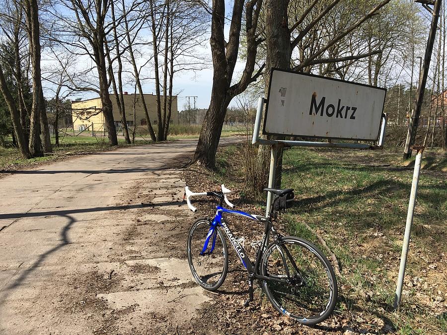 Przez Puszczę Notecką