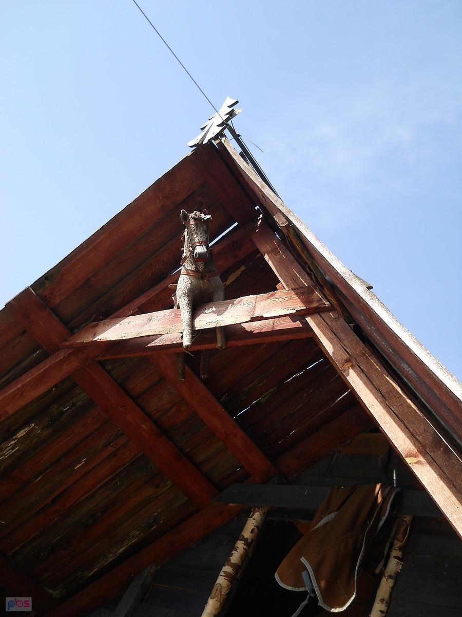 Kuń by się uśmioł
