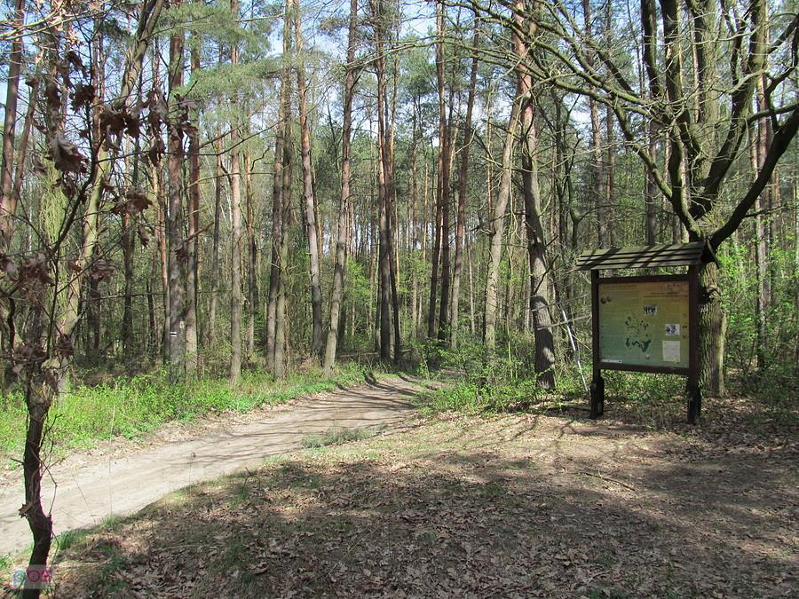 Takie miejsce wyszukałem sobie