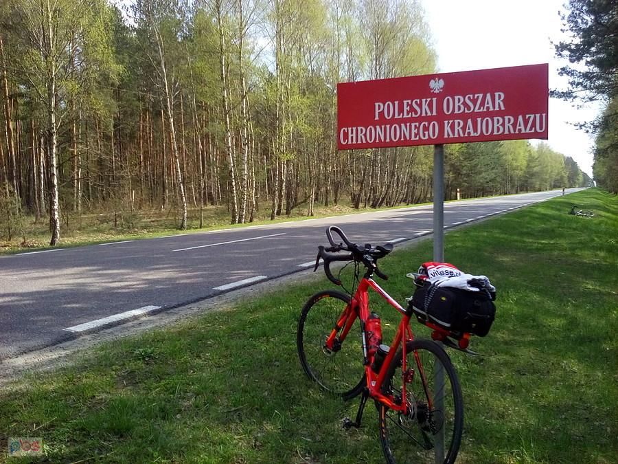 Kolejny niedzielny lajcik