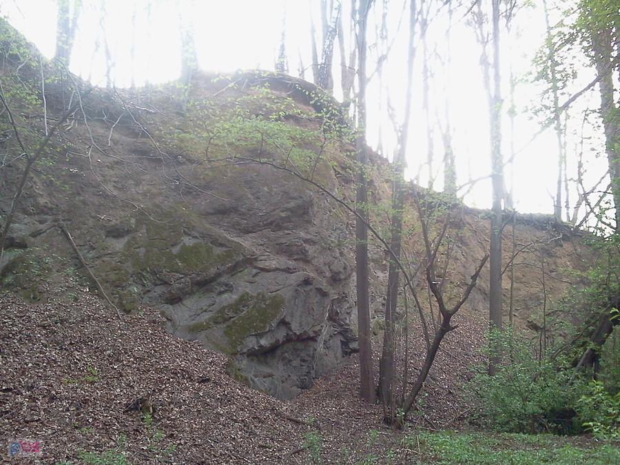 Skałki w Błędowicach