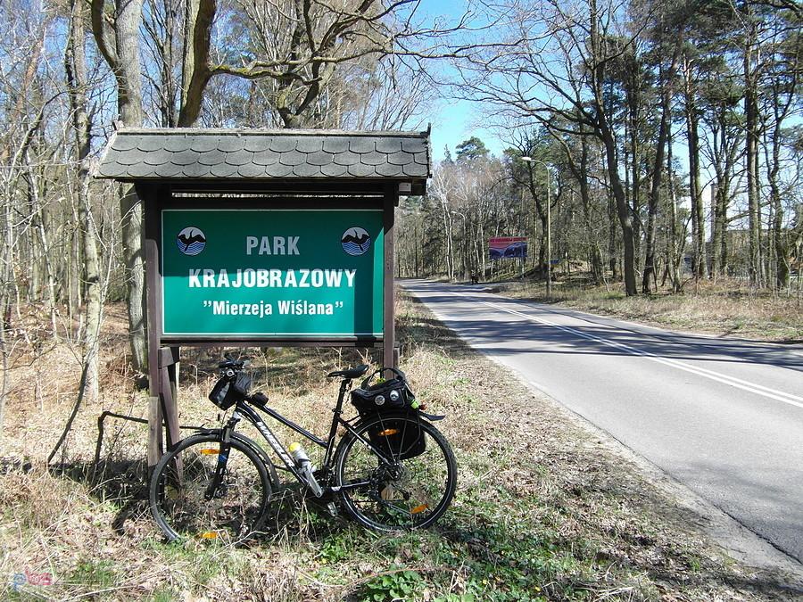 Kierunek Krynica Morska