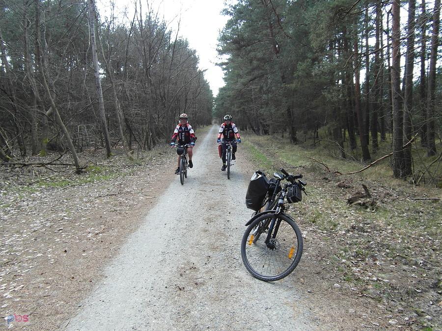 Dwie osoby na leśnej ścieżce rowerowej