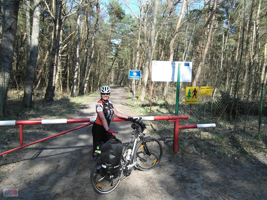 Rowerzysta trekkingowy przed zaporą na leśnym szlaku