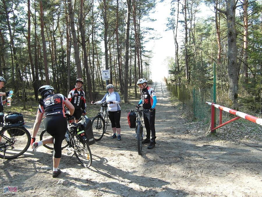 Grupa rowerzystów na leśnej ścieżce