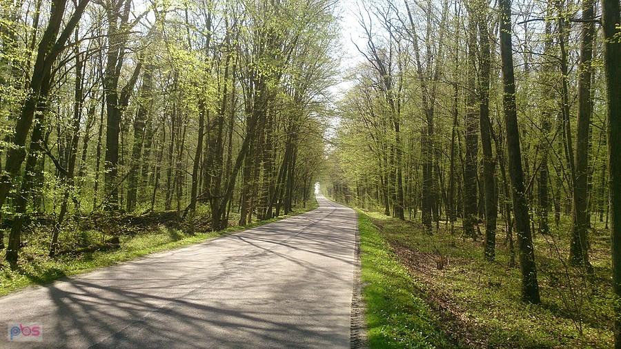 Droga przez Krzczonowski Park Krajobrazy