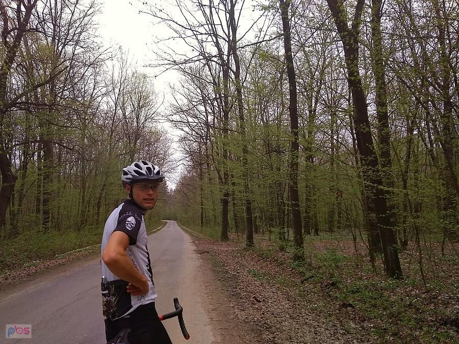 Piotrek w lesie