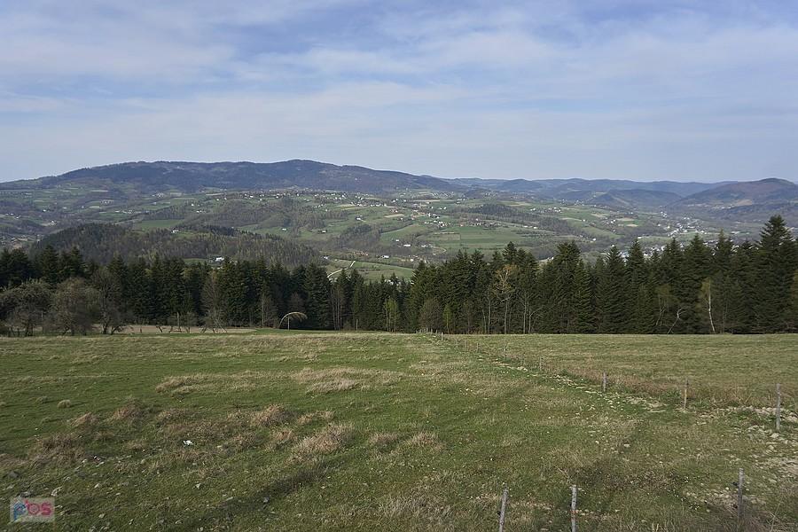 Pasierbicka Góra z Paproci