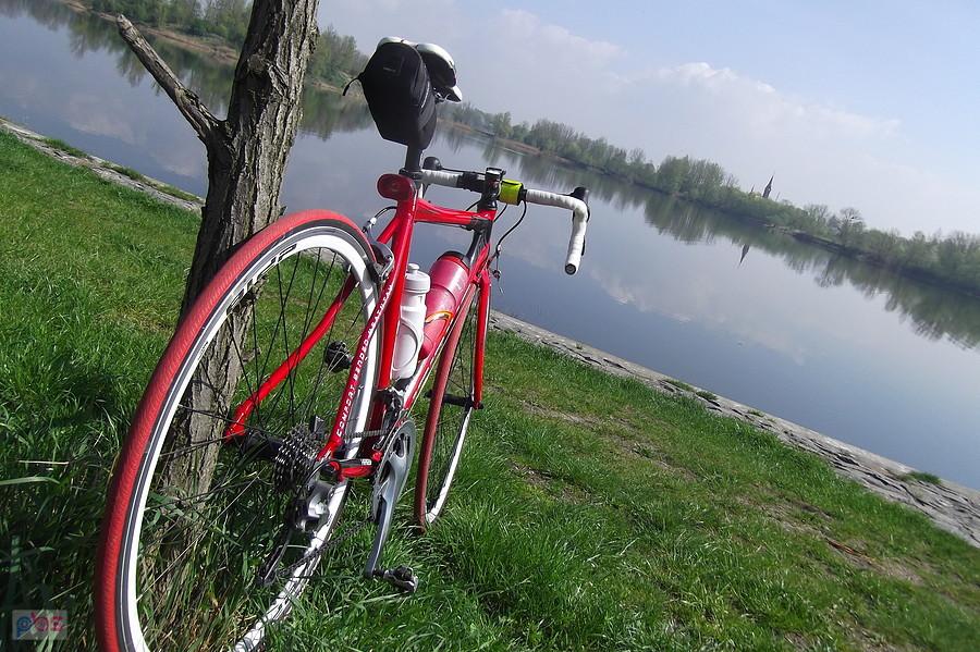 Nad stawem w okolicy Bohumina