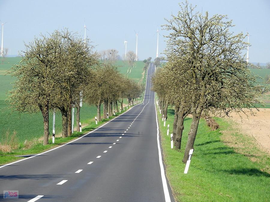 Urocza droga do Tantow, przy czym mały ruch pojazdów.